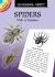 Learning about Spiders : With 12 Stickers