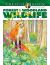 Creative Haven Forest and Woodland Wildlife Coloring Book