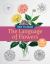 How to Draw the Language of Flowers : 100 Step-By-Step Tutorials