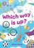 Which Way Is Up? : Band 11/Lime