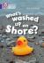 What's Washed up on Shore? : Band 08/Purple