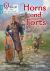 Horns and Forts : Phase 3 Set 1 Blending Practice