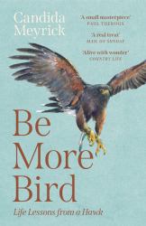 Be More Bird : Life Lessons from a Hawk