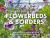 How to Create Beautiful Flowerbeds and Borders : Expert Advice and Inspiration from the National Trust