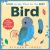 Look at Me, What Do You See? Bird