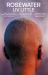 Rosewater : The Debut Novel from Liv Little Rosewater : The Debut Novel from Liv Little