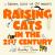 Raising Cats in the 21st Century : The Perfect Christmas Stocking Filler for Cat Owners!
