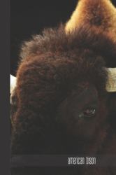 American Bison : Small Lined Bison Notebook / Travel Journal to Write in (6'' X 9'') 120 Pages