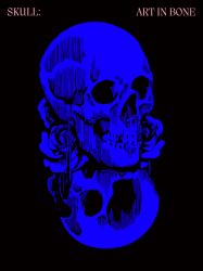 Skull: Art in Bone : A Contemporary Anthology of Skull-Inspired Art