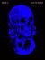 Skull: Art in Bone : A Contemporary Anthology of Skull-Inspired Art