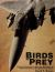 Birds of Prey : Aircraft, Nose Art and Mission Markings of Operation Desert Shield/Storm