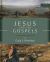 Jesus and the Gospels, Third Edition : An Introduction and Survey