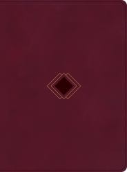 CSB Day-By-Day Chronological Bible, Burgundy LeatherTouch