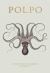 Polpo : A Venetian Cookbook (of Sorts)