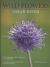 Sarah Raven's Wild Flowers