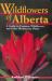 Wildflowers of Alberta : A Guide to Common Wildflowers and Other Herbaceous Plants Wildflowers of Alberta : A Guide to Common Wildflowers and Other Herbaceous Plants