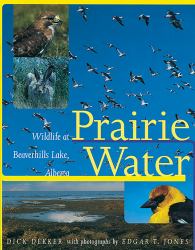 Prairie Water : Wildlife at Beaverhills Lake, Alberta