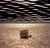 On the Steppes of Dreams On the Steppes of Dreams