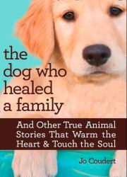 Dog Who Healed a Family