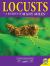 Locust Locust