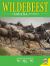 Wildebeest Wildebeest