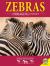 Zebra Zebra