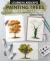 Lessons in Landscapes: Painting Trees in Watercolour : Tips, Techniques and Step-By-step Exercises