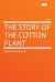 The Story of the Cotton Plant