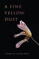 A Fine Yellow Dust