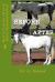 How to Care for a Rescue Horse: Australian Version