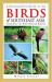 A Photographic Guide to the Birds of Southeast Asia : Including the Philippines and Borneo