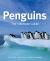 Penguins : The Ultimate Guide