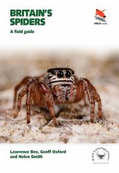 Britain's Spiders : A Field Guide