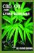 CBD Oil for Lyme Disease : Everything You Need to Know on How Cbd Oil Treats Lyme Disease