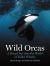 Wild Orcas : A Deep Dive into the World of Killer Whales