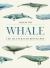 Whale : The Illustrated Biography