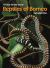 A Field Guide to the Reptiles of Borneo
