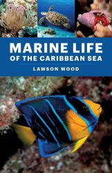 Marine Life of the Caribbean Sea