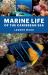 Marine Life of the Caribbean Sea