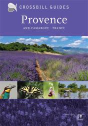 Provence : And Camargue