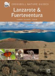 Lanzarote and Fuerteventura : Canary Islands - Spain