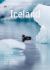 Iceland Iceland