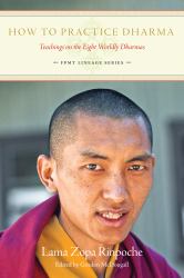 How to Practice Dharma : Teachings on the Eight Worldly Dharmas