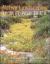 Native Landscaping from el Paso to L. A.