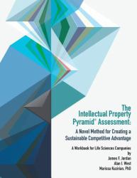 The Intellectual Property Pyramid Assessment : A Novel Method for Creating a Sustainable Competitive Advantage