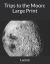 Trips to the Moon: Large Print