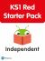 Bug Club Red (KS1) Book Band Starter Independent Reading Pack (39 Books)