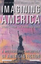 Imagining America Revised Edition : Stories from the Promised Land