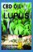 CBD Oil for Lupus : All You Need to Know on How Cbd Oil Treats and Cures Lupus