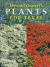 Howard Garrett's Plants for Texas